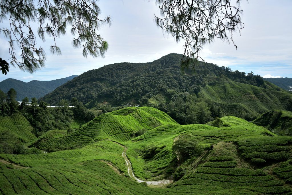 Highlands in Malaysia
