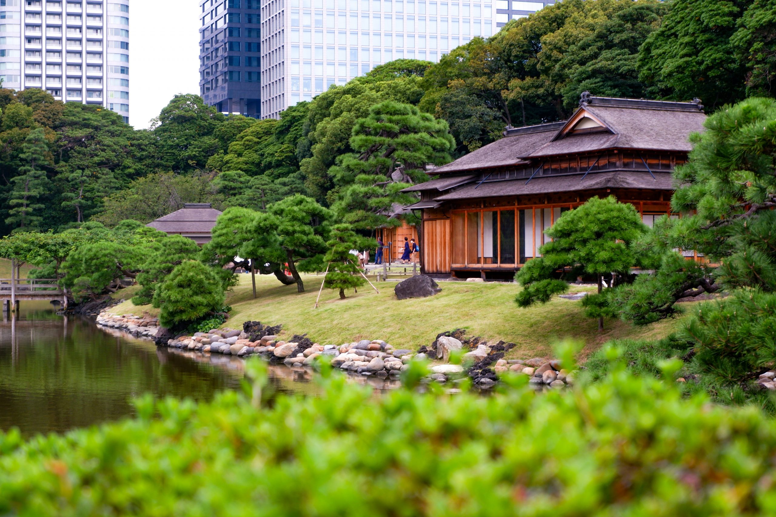 Hamarikyu Gardens in Tokyo