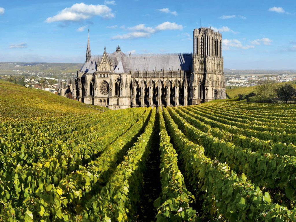 Best Vineyards in Champagne France to Visit