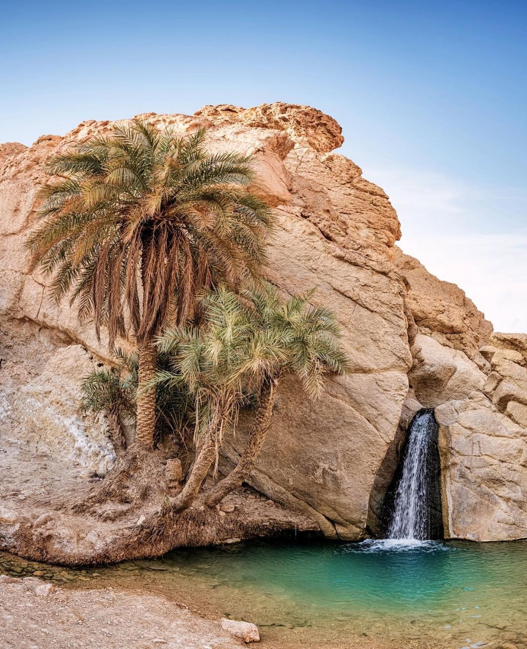Chebika Oasis - 15 Stunning Places in Tunisia