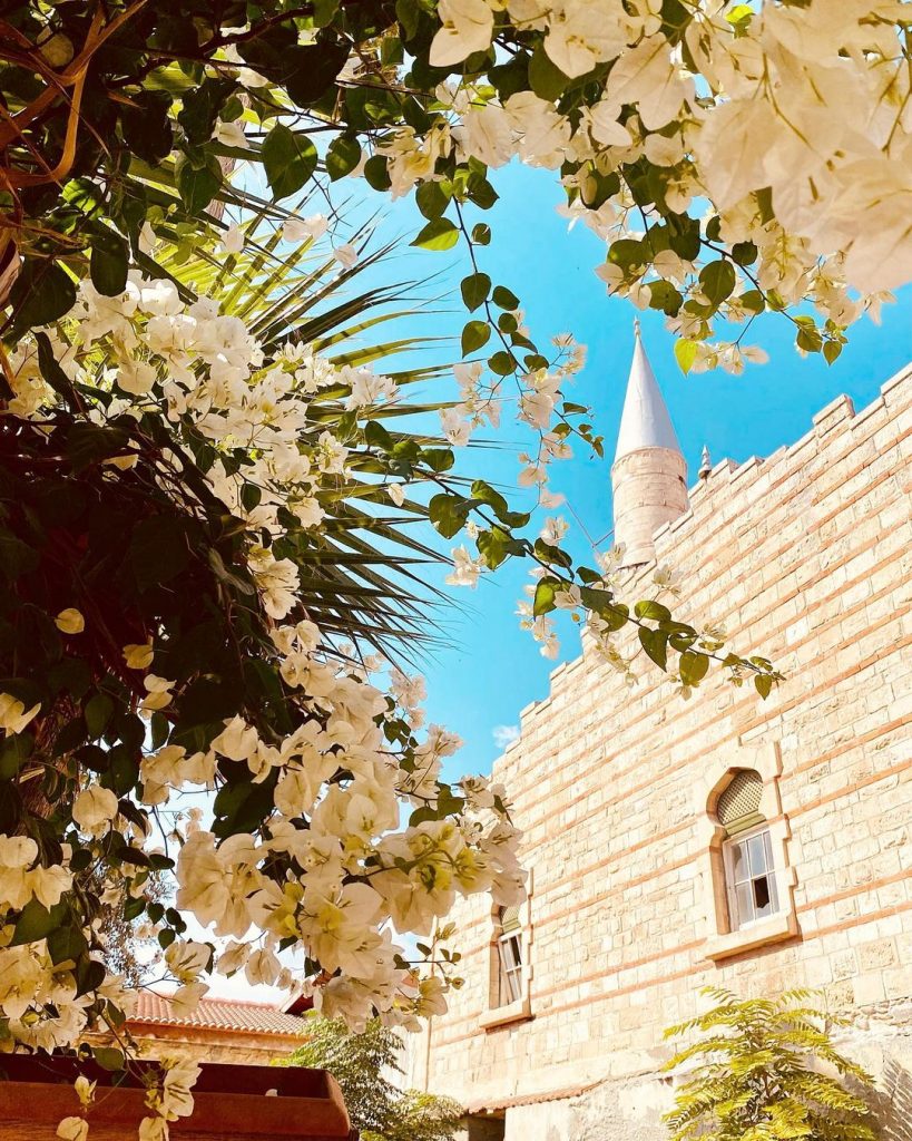 15 Best Things to Do in Limassol, Cyprus and Around Framey