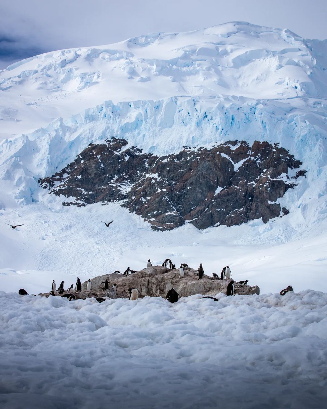 Antarctic Peninsula, Antarctica - 30 Trips to Take in Your 30s