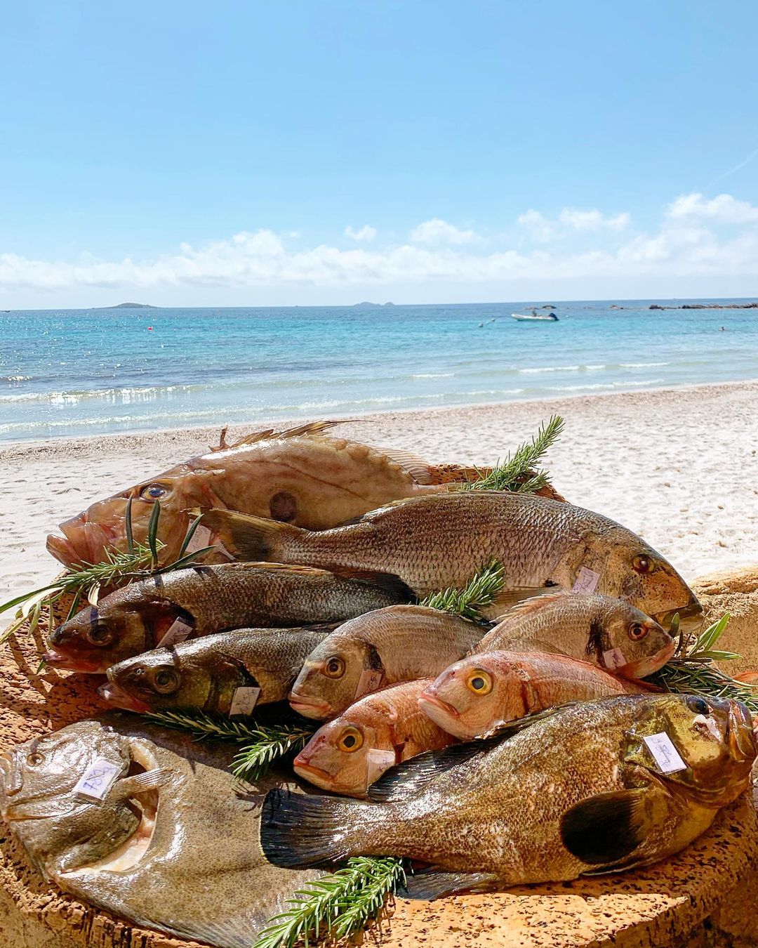 Fresh wild fish at Tamaricciu Restaurant - Best Beach Clubs and Bars in Corsica