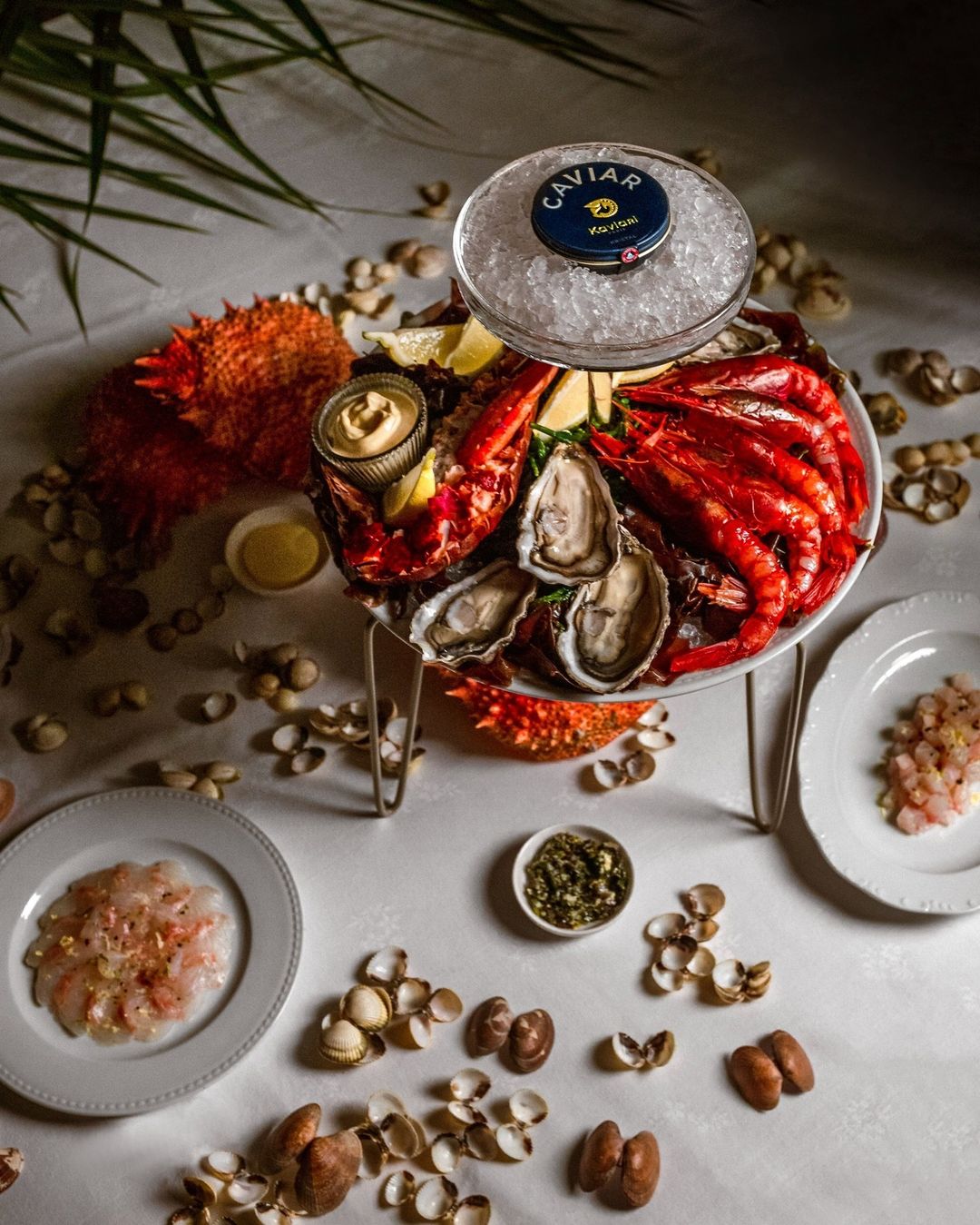 From daily catches of raw fishes to luscious seafood delights, enhanced by Kristal Caviar