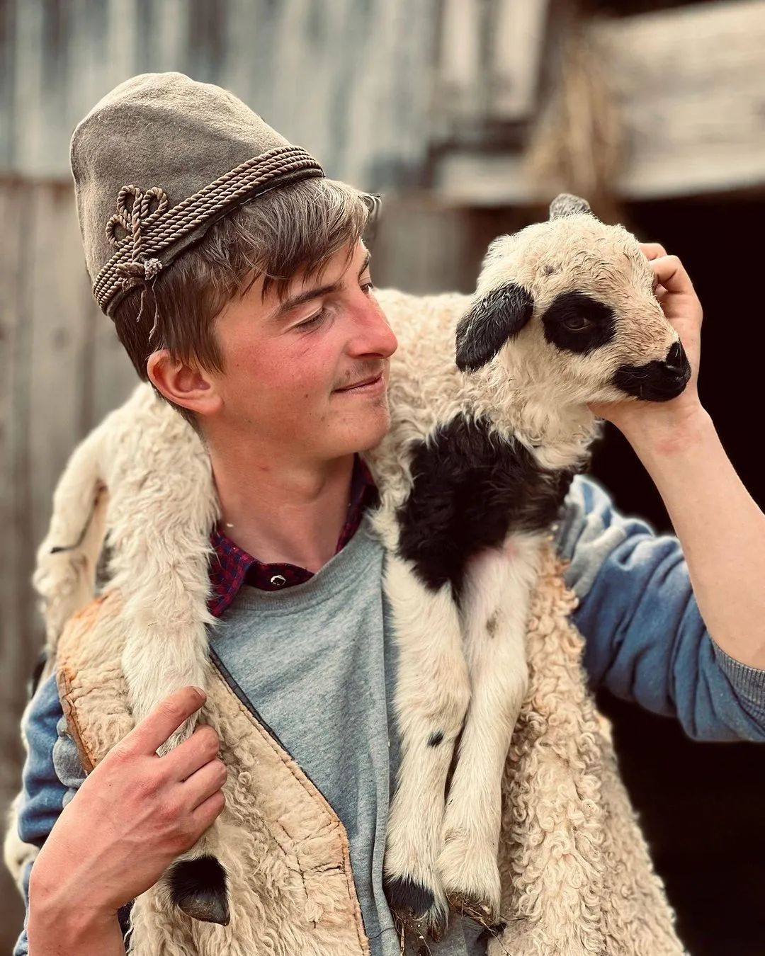Young shepherd carrying a sheep on his shoulders in Deleni, Ideciu De Jos, Mureș, Transylvania - Interesting Facts To Know