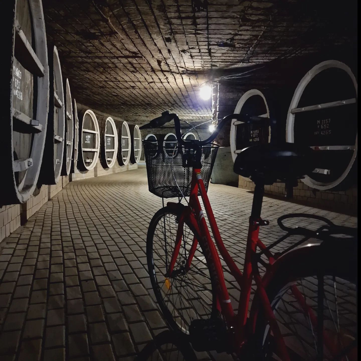 Enjoy a bike ride among thousands of barrels, in the largest underground wine cellar in the world, Milestii Mici