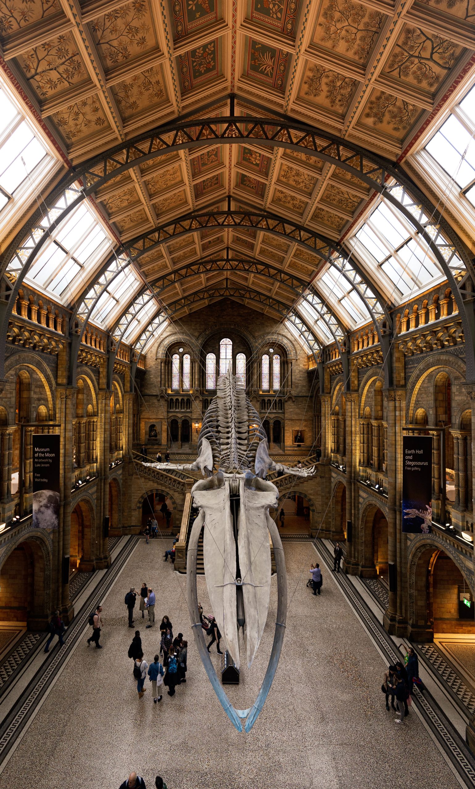 A journey through time: National History Museum