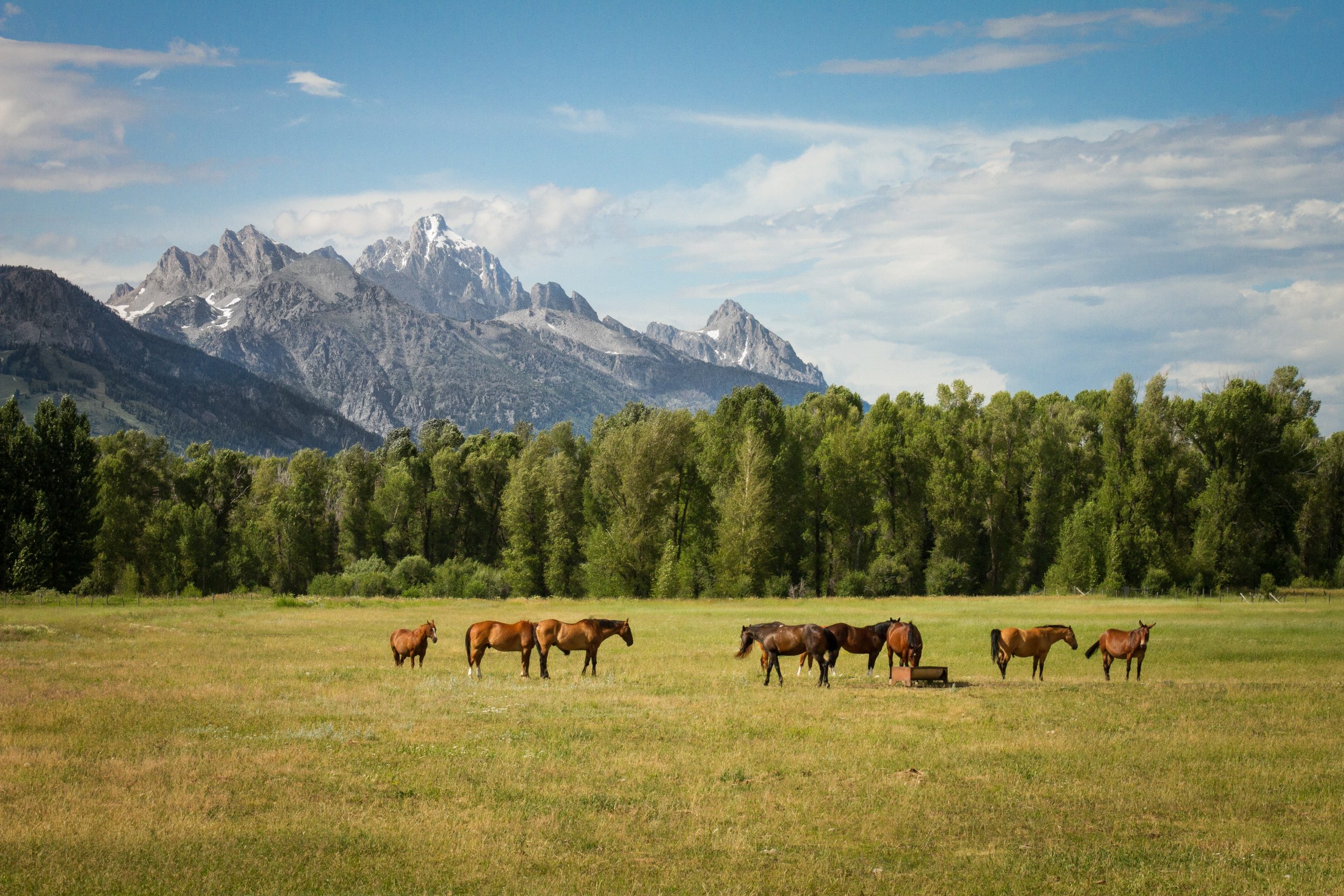 Jackson Hole Valley, Grand Teton National Park - Best National Parks in America