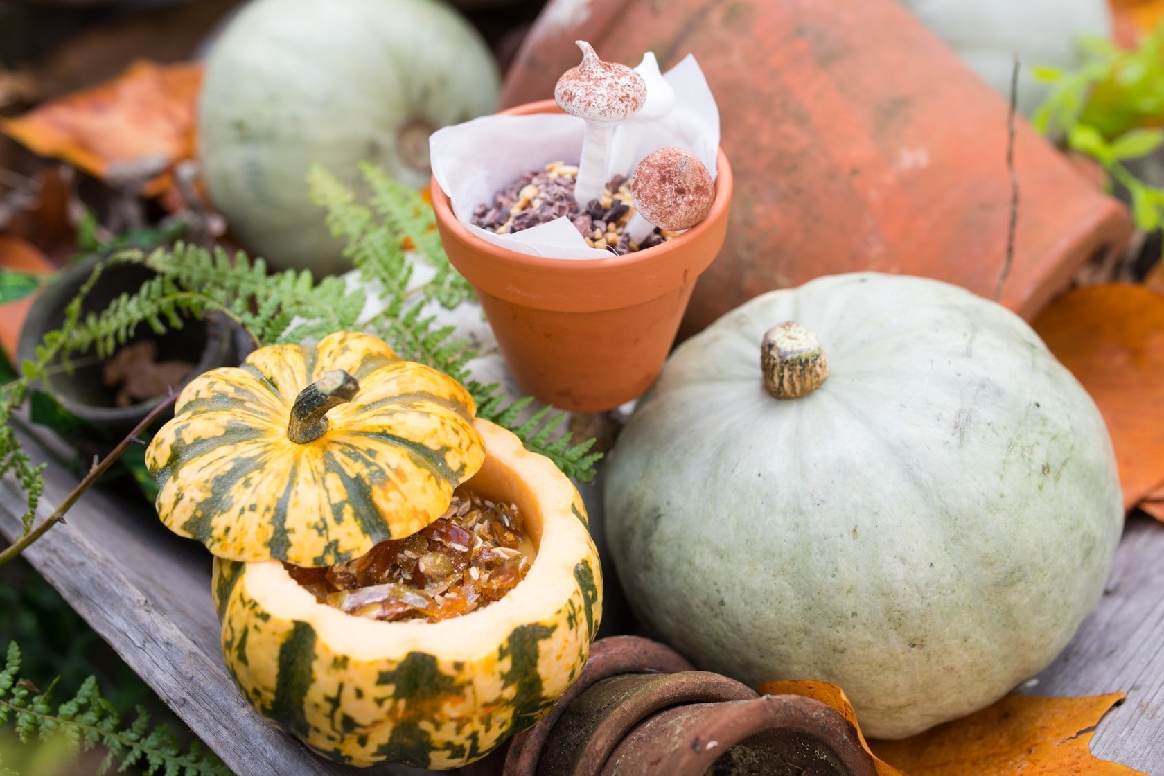 London’s First Ever Urban Pumpkin Patch at Cowcross Yards - Halloween Celebrations in London